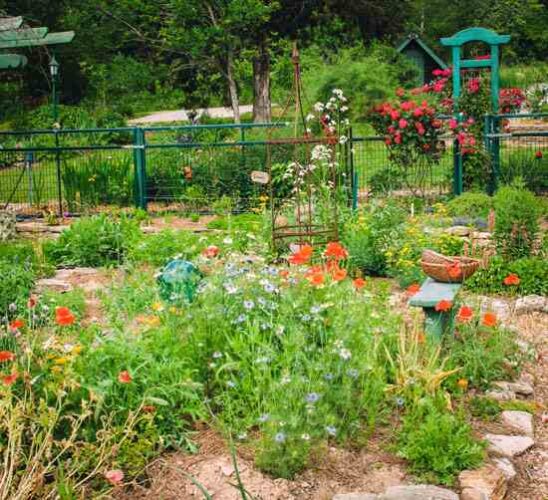 Long Creek Herbs: A Noteworthy Missouri Herb Farm